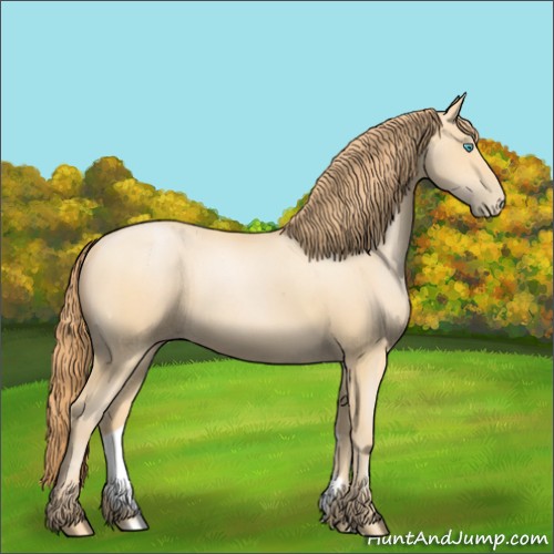 Horse Color:Buckskin Pearl Sabino