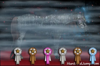 Horse Color:Nacre Chocolate Grullo Ice Sabino Splash Appaloosa and Void Midnight Chocolate Grullo Ice Onyx Sabino Splash Appaloosa