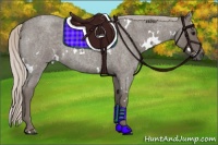 Horse Color:White Spotted Silver Blue Roan 