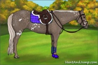 Horse Color:White Spotted Silver Black 