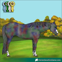 Horse Color:Nacre Black 