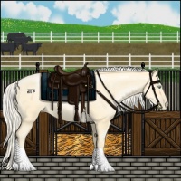 Horse Color:Palomino Pearl 