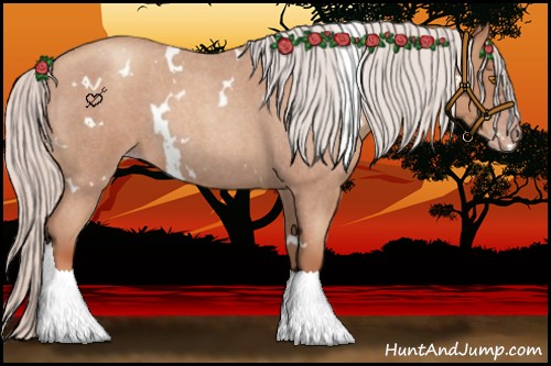 Horse Color:White Spotted Silver Classic Champagne Roan