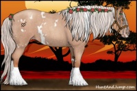 Horse Color:White Spotted Silver Classic Champagne Roan 