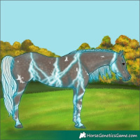 Horse Color:Thunderstruck White Spotted Silver Black Tobiano 