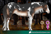 Horse Color:White Spotted Liver Chestnut Splash Tobiano