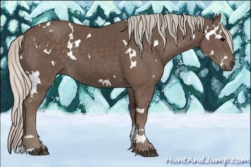 Horse Color:White Spotted Silver Black 
