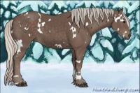 Horse Color:White Spotted Silver Black 
