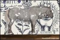 Horse Color:White Spotted Silver Blue Roan 