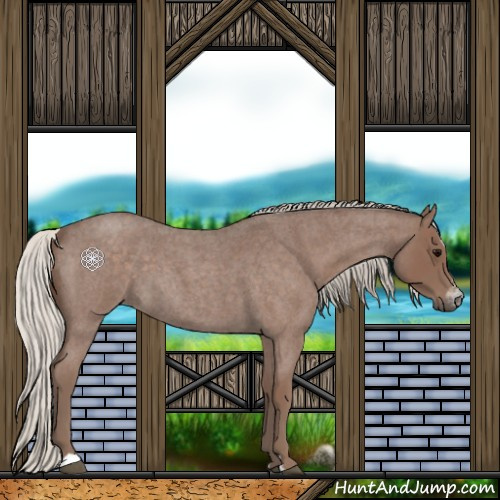 Horse Color:Silver Blue Roan Sabino 