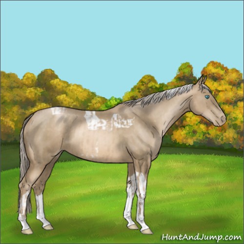 Horse Color:Chocolate Palomino Pearl Tobiano Frame  and Chocolate Palomino Pearl Tobiano 