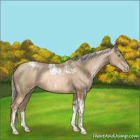 Horse Color:Chocolate Palomino Pearl Tobiano Frame  and Chocolate Palomino Pearl Tobiano 