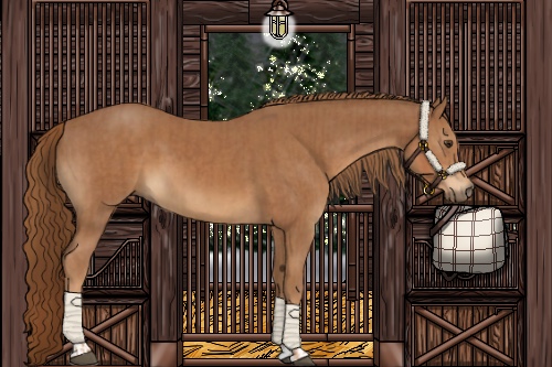 Horse Color:Chestnut  and Chestnut 