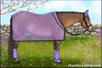 Horse Color:Chestnut and Bay