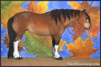 Horse Color:Bay  and Bay 