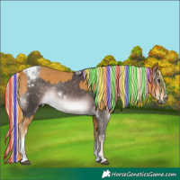 Horse Color:Platinum Painted White Spotted Liver Chestnut Mushroom Tobiano and Palomino