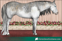 Horse Color:White Spotted Silver Buckskin Dun Splash  and White Spotted Black Splash 