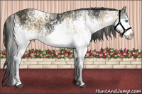 Horse Color:White Spotted Silver Buckskin Dun Splash  and White Spotted Black Splash 
