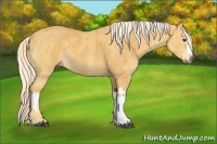 Horse Color:Palomino  and Palomino 