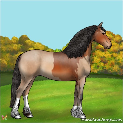 Horse Color:Bay  and Amber Champagne 
