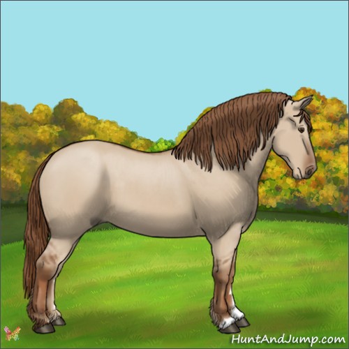 Horse Color:Red Dun 