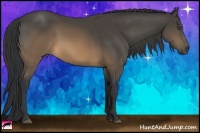 Horse Color:Buckskin 
