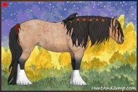 Horse Color:Bay Roan 