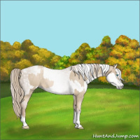 Horse Color:Chocolate Palomino Pearl Tobiano Frame  and Gray Chocolate Palomino Pearl Tobiano Frame 
