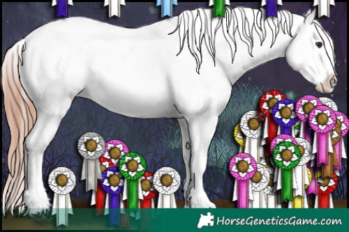 Horse Color:Liver Chestnut Tobiano Appaloosa Rabicano