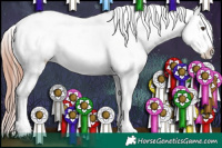 Horse Color:Liver Chestnut Tobiano Appaloosa Rabicano