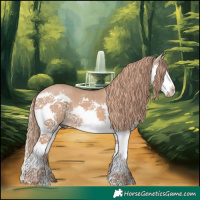 Horse Color:Red Dun Splash 