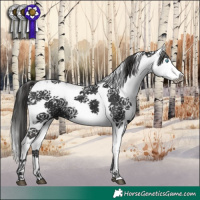 Horse Color:Liver Chestnut Frame 