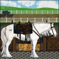 Horse Color:Cremello Sabino  and Perlino Sabino 