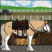 Horse Color:Palomino Roan Splash 