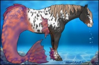 Horse Color:Liver Chestnut Sabino Splash Appaloosa  and Liver Chestnut Sabino Splash Appaloosa 