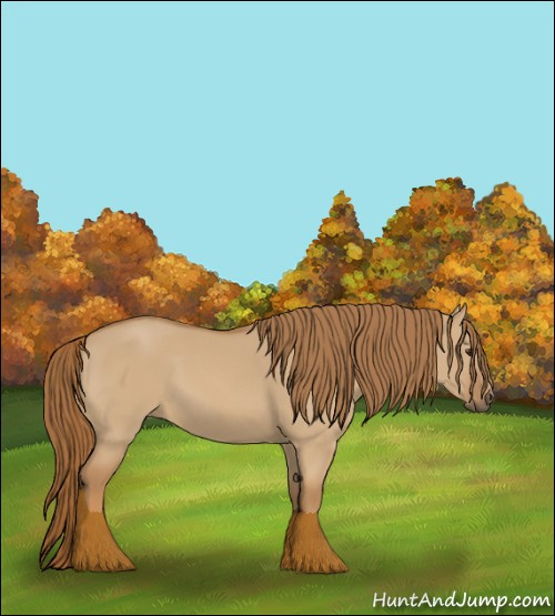 Horse Color:Red Dun 