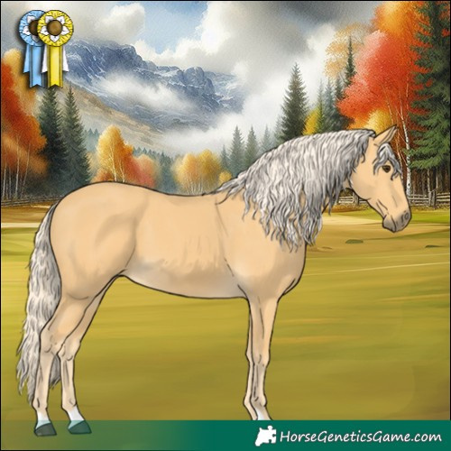 Horse Color:Palomino 