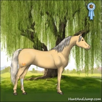 Horse Color:Palomino 