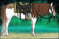 Horse Color:Chestnut Splash