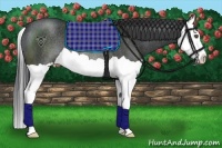 Horse Color:Black Splash Rabicano 