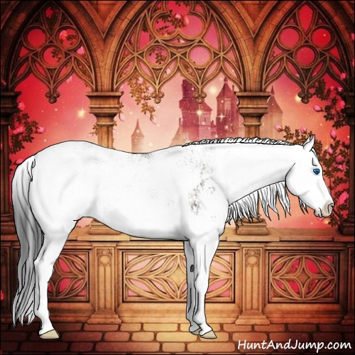 Horse Color:Grullo Sabino Splash  and Grullo Sabino Splash 