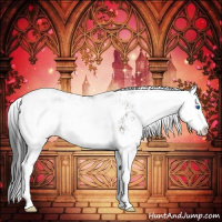 Horse Color:Grullo Sabino Splash  and Grullo Sabino Splash 