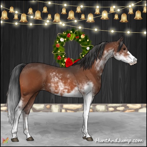Horse Color:Bay Sabino 