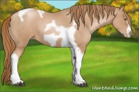 Horse Color:Red Roan Pearl Tobiano Frame