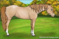 Horse Color:Red Roan Pearl Tobiano Frame 