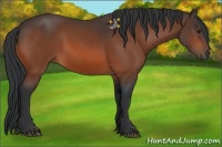 Horse Color:Brown 