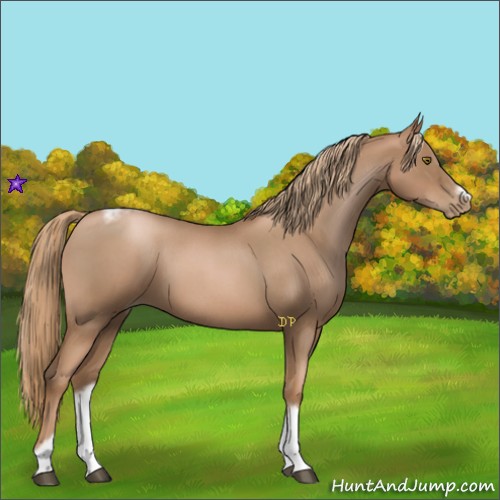 Horse Color:Liver Red Roan Pearl Tobiano Frame
