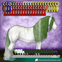 Horse Color:Watercolor White Spotted Classic Champagne Ice Sabino 