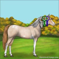 Horse Color:Red Roan Pearl Tobiano Frame 