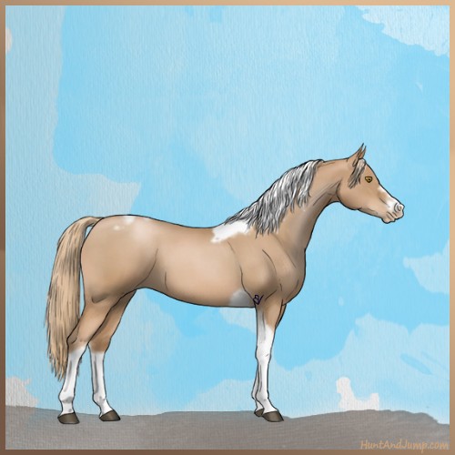 Horse Color:Red Roan Pearl Tobiano Frame 